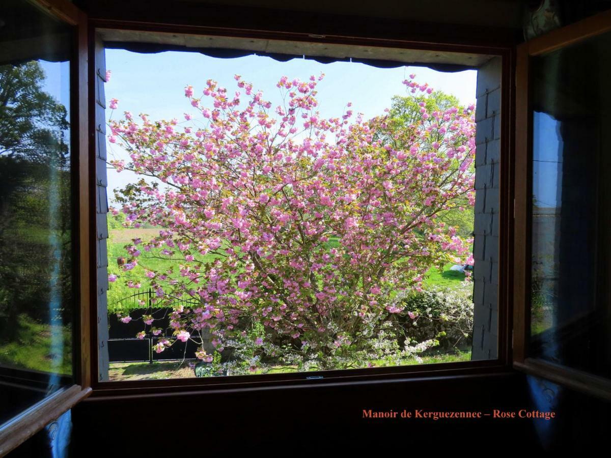 Rose Cottage Pontrieux Extérieur photo